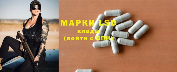 ПСИЛОЦИБИНОВЫЕ ГРИБЫ Вязьма