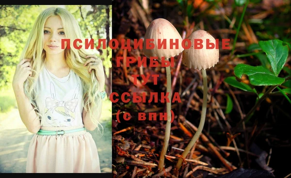 бутират Волоколамск