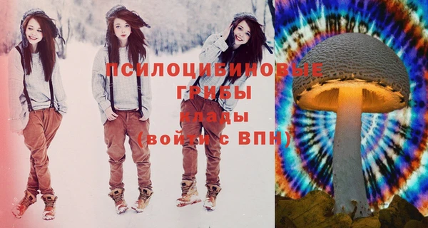 ПСИЛОЦИБИНОВЫЕ ГРИБЫ Вязьма