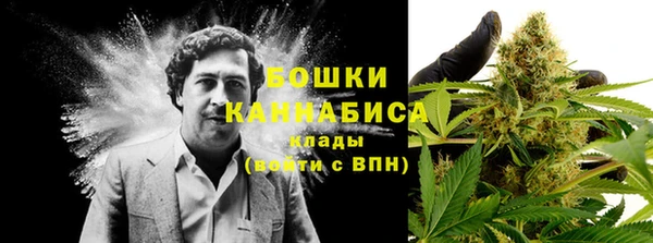 ПСИЛОЦИБИНОВЫЕ ГРИБЫ Вязьма